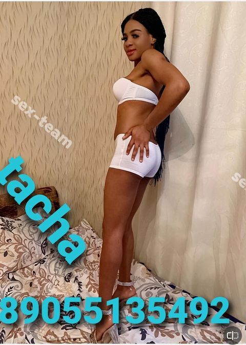 Tacha